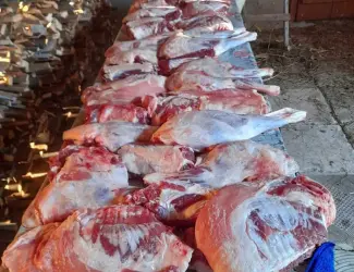 Зображення для оголошення Ягнятина продаж вакуум та без вакууму