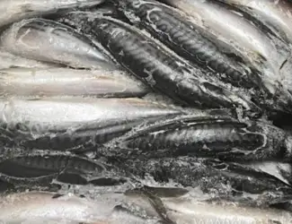Зображення для оголошення Шукаю постачальника свіжомороженої риби