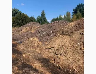 Зображення для оголошення Для удобрення лохини соснові відходи