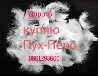 Зображення для оголошення Покупка пуха и пера свежее и б/у в любых объемах