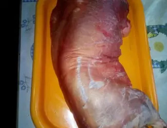 Продам мясо нутрии