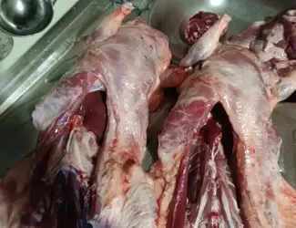 Продам мясо нутрии молодое, натуральное