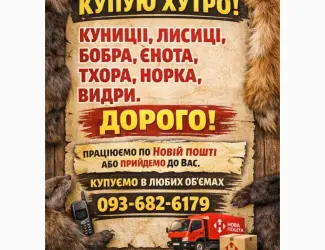 Зображення для оголошення Куплю хутро куниці та інше
