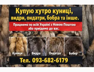 Зображення для оголошення Куплю хутро Андатра