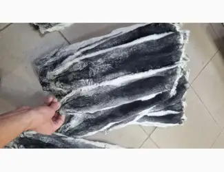 Зображення для оголошення Купимо шкурки шиншил ДОРОГО