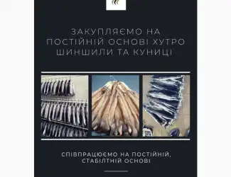 Зображення для оголошення Куплю хутро куниці на постійній основі