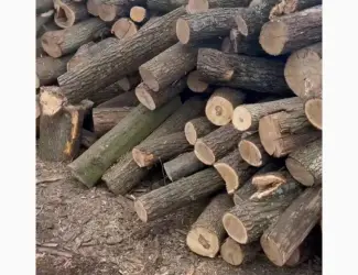 Зображення для оголошення Дрова Луцьк – продаж та доставка дров у Луцьку та Волинській області