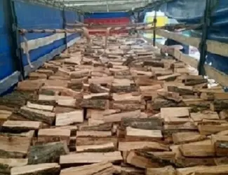 Зображення для оголошення Продаєм дубовий брикет RUF