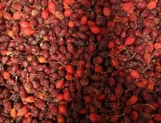 Шиповник- шипшина сушений продам