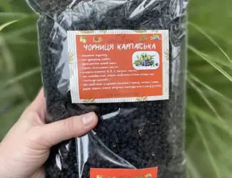 Зображення для оголошення Сушена чорниця (черника сушеная) з Карпат