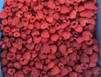 Зображення для оголошення Малина замороженная