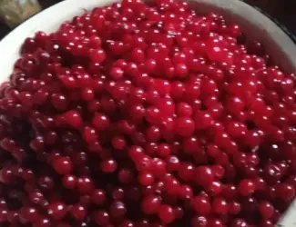 Зображення для оголошення Клюква/ Журавлина