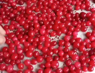 Зображення для оголошення Продам клюкву - журавлину світленька