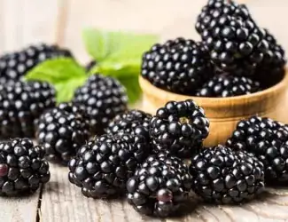 Зображення для оголошення Продам ожину