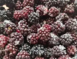 Зображення для оголошення Заморожені порічка, малина, ожина.