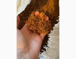 Зображення для оголошення Гладкий