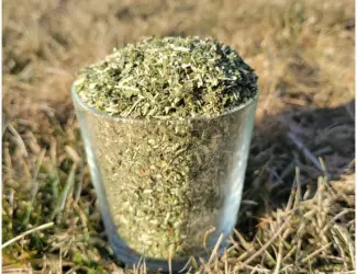 Зображення для оголошення Махорочка гарна