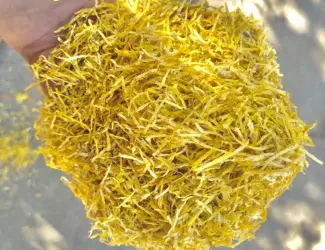 Зображення для оголошення Вірджінія. класік руно табак Супер