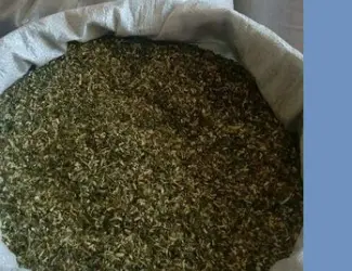Зображення для оголошення Самосад свіженький махорка тошо нада