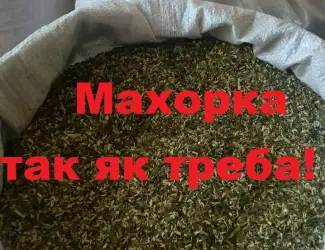Зображення для оголошення Махорка 490 грн