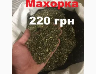 Зображення для оголошення Махорка крепкая и пахучая