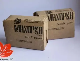 Зображення для оголошення Махорка которую выращиваем сами