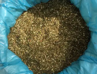 Зображення для оголошення Продаю махорку высшего сорта!!!Не горчит Без пыли !!! Забивается в гильзы