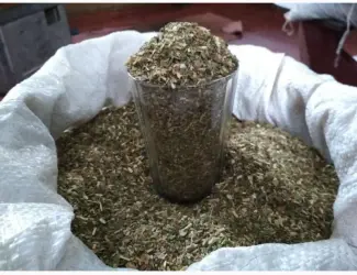 Зображення для оголошення Продам махорку (самосад) Хорошего качества