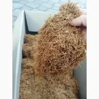 Зображення для оголошення Продам ароматний тютюн