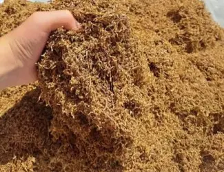 Зображення для оголошення Продам якісний тютюн без сміття