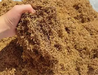 Продам якісний тютюн без сміття