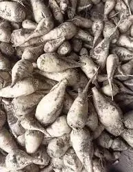 Продам буряк кормовий.
