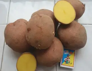 Продам картошку Бела-Роса