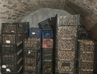 Продам ВЕЛИКУ Й НАСІННЄВУ картоплю сортів Санте