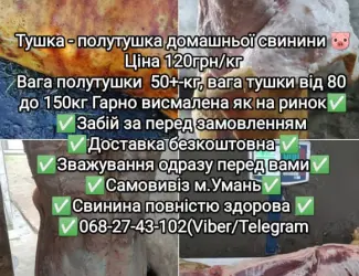 Тушка полутушка м'ясо домашньої свинини.