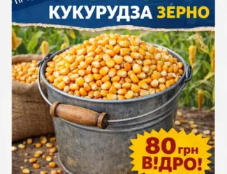 Зображення для оголошення Продажа кукурудзи кормова