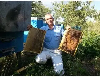 Продам бджолопакети