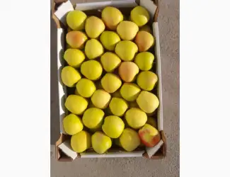 Зображення для оголошення Продам яблука:Джеромін