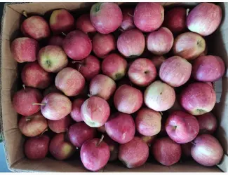 Зображення для оголошення Продам яблоки разных сортов
