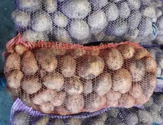 Зображення для оголошення Продам продовольчу і насінєву картоплю. Сорт Рів'єра