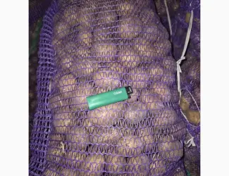 Продам семенной картофель