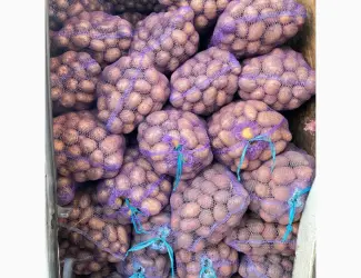Зображення для оголошення Продам велику картоплю