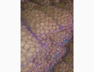Зображення для оголошення Продам насіннєву картоплю