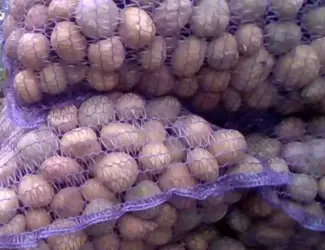 Зображення для оголошення Картопля продовольча