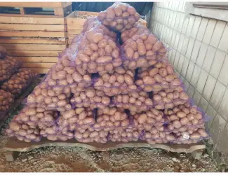 ФГ реалізовує картоплю 2-3 репродукції