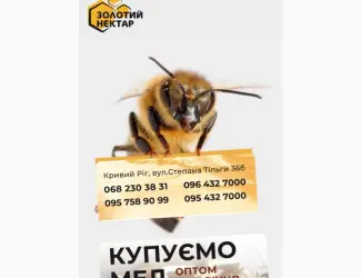Закуповуємо натуральний мед 2025 року