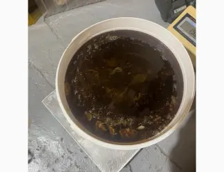 Продам гречаний мед