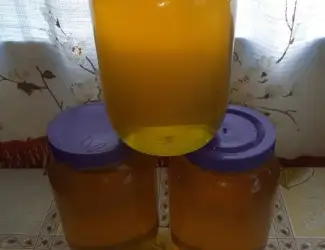 Мед різнотрав'я