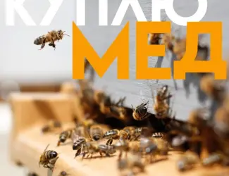 КУПЛЮ МЕД в Вінницькій області