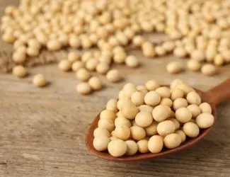 Зображення для оголошення Куплю СОЮ (НЕ ГМО) з місця. 2 форма